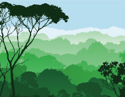 林業ICT/スマート林業